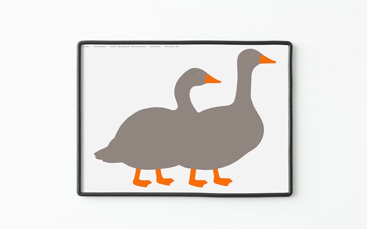 Due Oche Grigie Print by Danese Artemide Accessories